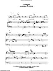 Cover icon of Twilight sheet music for voice, piano or guitar by David Gray, intermediate skill level