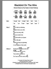 Cover icon of Blackbird On The Wire sheet music for guitar (chords) by The Beautiful South, David Rotheray and Paul Heaton, intermediate skill level