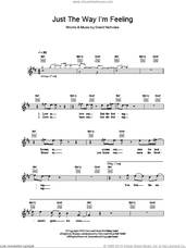 Cover icon of Just The Way I'm Feeling sheet music for voice and other instruments (fake book) by Feeder and Grant Nicholas, intermediate skill level