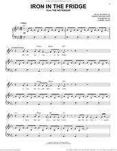 Cover icon of Iron in the Fridge (from The Notebook) sheet music for voice and piano by Ingrid Michaelson, intermediate skill level