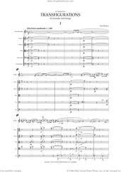 Cover icon of Transfigurations Concerto for Recorder and String Orchestra sheet music for orchestra (full score) by Poul Ruders, classical score, intermediate skill level