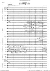 Cover icon of Leaning Tree sheet music for orchestra (full score) by Signe Lykke, classical score, intermediate skill level