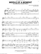 Cover icon of Middle Of A Moment (from James And The Giant Peach) sheet music for voice and piano by Pasek & Paul, Benj Pasek and Justin Paul, intermediate skill level