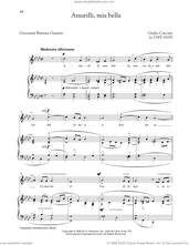 Cover icon of Amarilli (Medium Low Voice) sheet music for voice and piano (Medium Low Voice) by Giulio Caccini, Alessandro Parisotti (ed.) and (Giovanni) Battista Guarini, classical score, intermediate skill level