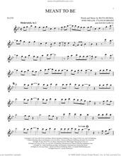 Cover icon of Meant To Be (feat. Florida Georgia Line) sheet music for flute solo by Bebe Rexha, Bleta Rexha, David Garcia, Josh Miller and Tyler Hubbard, intermediate skill level