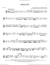 Cover icon of Hold On sheet music for flute solo by Wilson Phillips, Carnie Wilson, Chynna Phillips and Glen Ballard, intermediate skill level