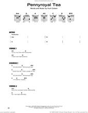 Cover icon of Pennyroyal Tea sheet music for guitar solo by Nirvana and Kurt Cobain, beginner skill level