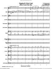 Cover icon of Shepherd's Echo Carol (How Great Our Joy) (arr. John Leavitt) (complete set of parts) sheet music for orchestra/band (Orchestra) by John Leavitt and Miscellaneous, intermediate skill level