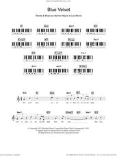 Cover icon of Blue Velvet sheet music for piano solo (chords, lyrics, melody) by Tony Bennett, Bernie Wayne and Lee Morris, intermediate piano (chords, lyrics, melody)