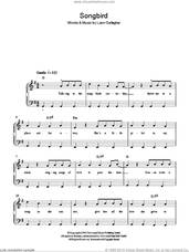 Cover icon of Songbird sheet music for piano solo by Oasis and Liam Gallagher, easy skill level