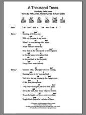 Cover icon of A Thousand Trees sheet music for guitar (chords) by Stereophonics, Kelly Jones, Richard Jones and Stuart Cable, intermediate skill level