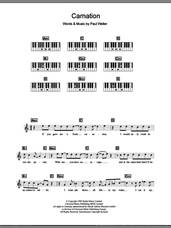 Cover icon of Carnation sheet music for piano solo (chords, lyrics, melody) by The Jam and Paul Weller, intermediate piano (chords, lyrics, melody)
