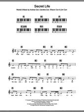 Cover icon of Secret Life sheet music for piano solo (chords, lyrics, melody) by The Corrs, Andrea Corr, Caroline Corr, Jim Corr and Sharon Corr, intermediate piano (chords, lyrics, melody)