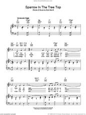 Cover icon of Sparrow In The Tree Top sheet music for voice, piano or guitar by Bob Merrill, intermediate skill level