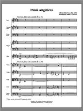 Cover icon of Panis Angelicus (complete set of parts) sheet music for orchestra/band (chamber ensemble) by Cesar Franck and John Leavitt, intermediate skill level