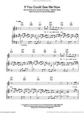 Cover icon of If You Could See Me Now sheet music for voice, piano or guitar by The Script, Andrew Frampton, Mark Sheehan and Steve Kipner, intermediate skill level