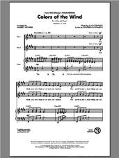 Cover icon of Colors Of The Wind (arr. Audrey Snyder) sheet music for choir (2-Part) by Alan Menken, Audrey Snyder, Stephen Schwartz and Vanessa Williams, intermediate duet