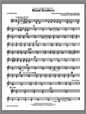 Cover icon of Blood Brothers (complete set of parts) sheet music for orchestra/band by Mark Brymer and Ingrid Michaelson, intermediate skill level