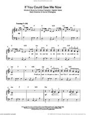 Cover icon of If You Could See Me Now sheet music for piano solo by The Script, Andrew Frampton, Mark Sheehan and Steve Kipner, easy skill level