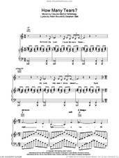 Cover icon of How Many Tears? (from Martin Guerre) sheet music for voice, piano or guitar by Claude-Michel Schonberg, Alain Boublil, Boublil and Schonberg and Steve Clark, intermediate skill level
