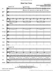 Cover icon of Raise Your Voices (complete set of parts) sheet music for orchestra/band (Orchestra) by Brendan Graham, Rolf Lovland, Roger Emerson and Secret Garden, intermediate skill level