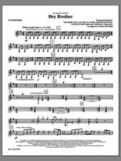 Cover icon of Hey Brother (complete set of parts) sheet music for orchestra/band by Mark Brymer, Ash Pournouri, Avicii, Salem Al Fakir, Tim Bergling, Veronica Maggio and Vincent Pontare, intermediate skill level