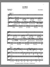 Cover icon of Ave Maria sheet music for choir (SATB: soprano, alto, tenor, bass) by Deke Sharon, Anne Raugh and Franz Schubert, classical score, intermediate skill level
