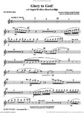 Cover icon of Glory to God! sheet music for orchestra/band (flute/piccolo) by Mark Hayes and Pamela Martin, intermediate skill level