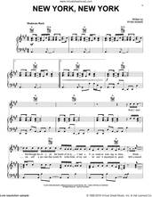 Cover icon of New York, New York sheet music for voice, piano or guitar by Ryan Adams, intermediate skill level