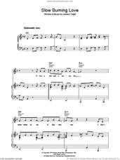 Cover icon of Slow Burning Love sheet music for voice, piano or guitar by James Taylor, intermediate skill level