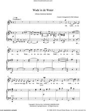 Cover icon of Wade in de Water (E minor) sheet music for voice and piano by Hall Johnson, classical score, intermediate skill level