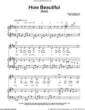 Cover icon of How Beautiful sheet music for voice and piano by Jeff Lippincott, intermediate skill level