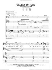 Cover icon of Valley Of Pain sheet music for guitar (tablature) by Allen Shamblin and Robert Mathes, intermediate skill level