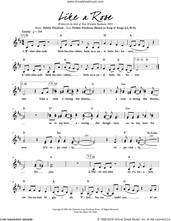 Cover icon of Like a Rose sheet music for voice and other instruments (fake book) by Debbie Friedman, intermediate skill level
