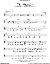 Cover icon of The Promise sheet music for voice and other instruments (fake book) by Debbie Friedman, intermediate skill level