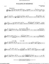 Cover icon of Walking In Memphis sheet music for flute solo by Marc Cohn and Lonestar, intermediate skill level