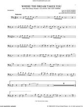Cover icon of Where The Dream Takes You sheet music for trombone solo by Diane Warren and James Newton Howard, intermediate skill level