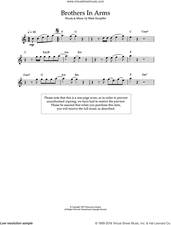 Cover icon of Brothers In Arms sheet music for flute solo by Dire Straits and Mark Knopfler, intermediate skill level