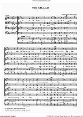 Cover icon of Viri Galilaei sheet music for choir by Dulos Couillart, classical score, intermediate skill level