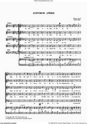 Cover icon of Justorum Animae sheet music for voice, piano or guitar by William Byrd, classical score, intermediate skill level