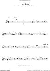 Cover icon of Hey Jude sheet music for flute solo by The Beatles, John Lennon and Paul McCartney, intermediate skill level