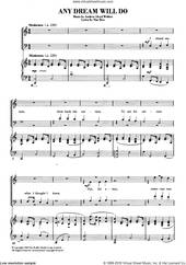 Cover icon of Any Dream Will Do (from Joseph And The Amazing Technicolor Dreamcoat) sheet music for choir by Andrew Lloyd Webber and Tim Rice, intermediate skill level