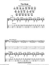 Cover icon of The Mule sheet music for guitar (tablature) by The Magic Numbers and Romeo Stodart, intermediate skill level