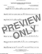 Cover icon of Sixteen Going On Seventeen (from The Sound of Music) sheet music for trombone solo by Rodgers & Hammerstein, Oscar II Hammerstein and Richard Rodgers, intermediate skill level