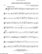 Cover icon of Going Home For Christmas sheet music for flute solo by Steven Curtis Chapman and James Isaac Elliott, intermediate skill level