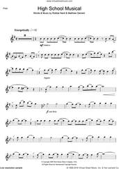 Cover icon of High School Musical (from Walt Disney Pictures' High School Musical 3: Senior Year) sheet music for flute solo by High School Musical, Matthew Gerrard and Robbie Nevil, intermediate skill level