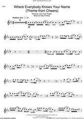 Cover icon of Where Everybody Knows Your Name (Theme from Cheers) sheet music for flute solo by Gary Portnoy and Judy Hart Angelo, intermediate skill level
