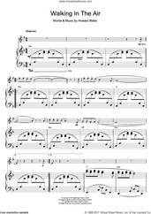 Cover icon of Walking In The Air (theme from The Snowman) sheet music for tenor saxophone solo by Howard Blake and Aled Jones, intermediate skill level