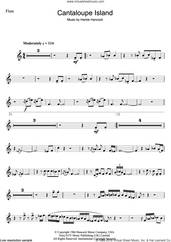 Cover icon of Cantaloupe Island sheet music for flute solo by Herbie Hancock, intermediate skill level