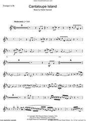 Cover icon of Cantaloupe Island sheet music for trumpet solo by Herbie Hancock, intermediate skill level